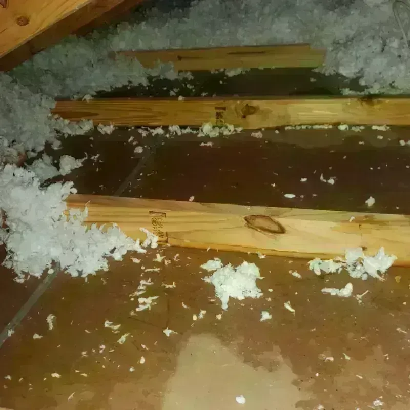 Attic Water Damage in Pontiac, MI