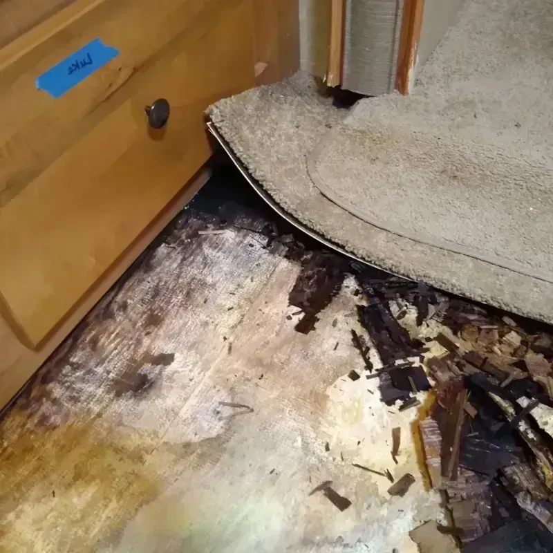 Wood Floor Water Damage in Pontiac, MI